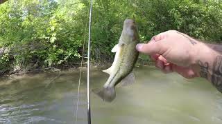 how to fish a creek