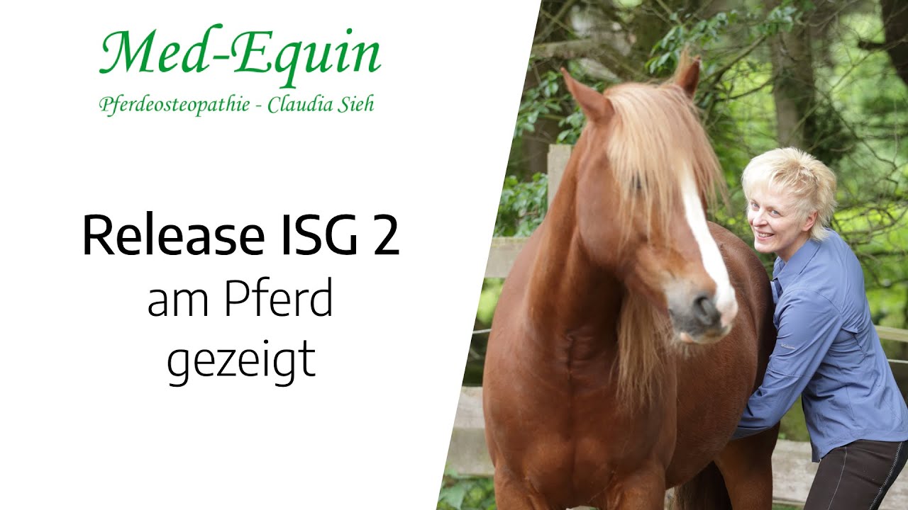 ISG-Problem beim Pferd, schnell und einfach osteopathisch lösen. Es geht auch ohne Hauruck (2 ...
