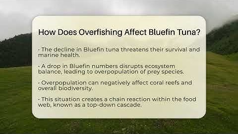 How Does Overfishing Affect Bluefin Tuna? - Ecosystem Essentials