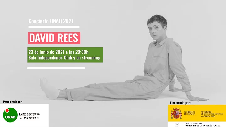 David Rees - Concierto UNAD