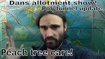 Dans allotment show. Peach tree care and polytunnel update!