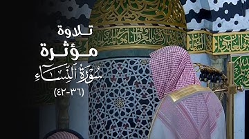 تلاوة مؤثرة من سورة النساء للشيخ أ. د. محمد برهجي | مغرب الخميس 11-6-1446هـ