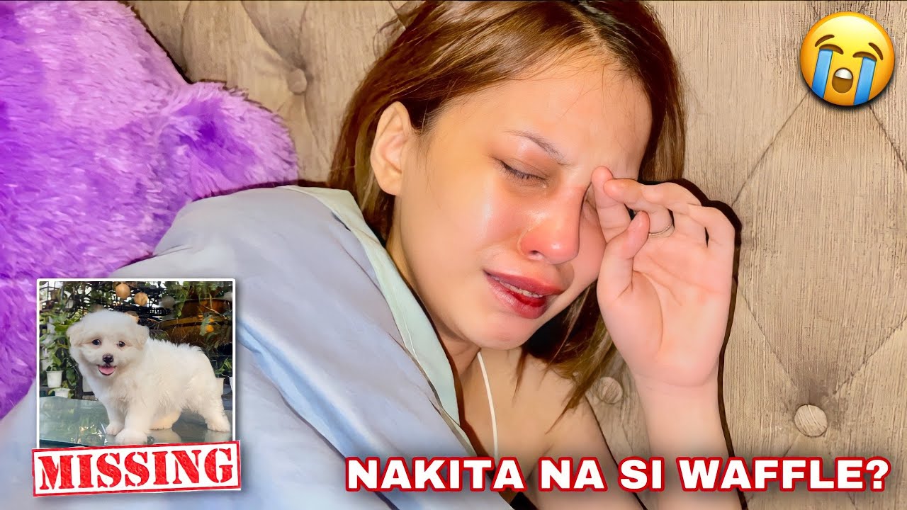 ANG PAGHAHANAP SA ASO NG JUSBBY!