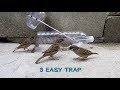 Awesome!  3 Easy bird trap