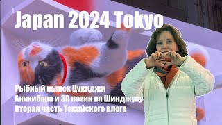 : JAPAN Tokyo    vlog-6 2024