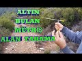 altın alan tarama - gold long range scanning - جهاز مسح المنطقة - сканирование на большие расстояния