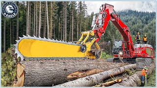 101 AMAZING Fastest Big Wood Chainsaw Machine Working At Another Level ▶6