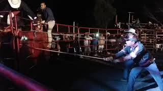 Valla SUSUTO! Agarro el segundo aire y mira! 🚫toro:Gran Torino vs jinete: Cachorro Galicia Oax.