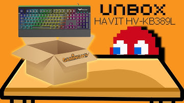 Hardware Unboxing: HAVIT HV-KB389L RGB Backlit Mechanical Gaming Keyboard