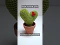 Crochet ♥️🌵 cactus finished and planted in a pot #shorts everlasting valentine's day gift idea