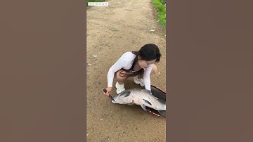 cô cần thủ mang hàng nóng vào hồ câu cá trắm đen và cái kết  #fishing #cauca #short