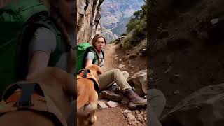 A Landslide Hit the Park... But This Dog Became a Hero 🐕⛰️❤️ #dog  #hero #shorts #story  #animals
