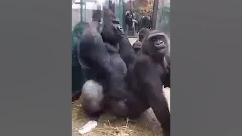 Любовь )))