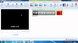 49  Киностудия Windows Live®