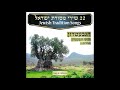 Yismechu Hashamayim -  Jewish Music Traditional - Jewish music