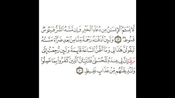 سورة فصلت 17 القسم السابع عشر تكرار كيفي من .. لا يسأم الإنسان من دعاء الخير .. إلى .. عذاب غليظ