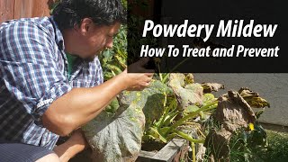 Powdery Mildew: Prevention and Treatment! (2019)