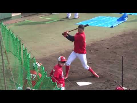 大盛穂選手（広島カープ・静岡産業大卒）の連続トスバッティング　～秋季日南キャンプ2022～