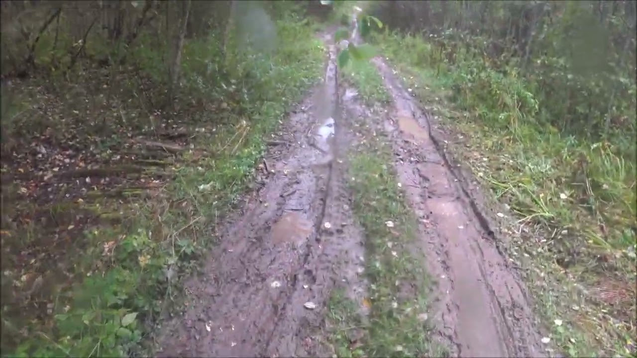 Двадцать лет не был в этих угодьях, и ещё двадцать не поеду))). Выезд 24.09.2025г.