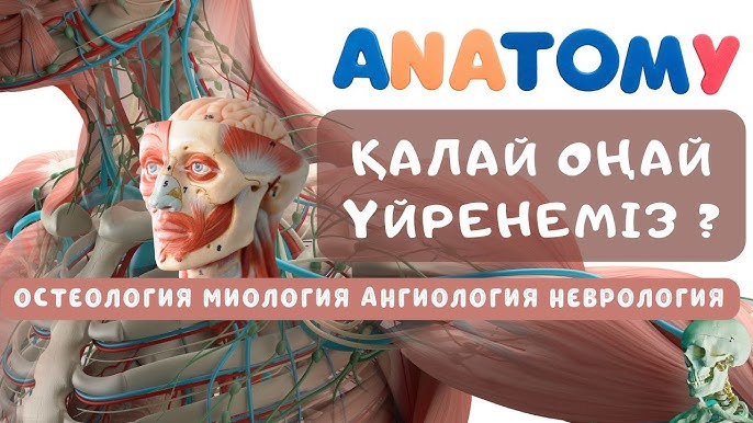 Наталья Евгеньевна Коробкова секс порно