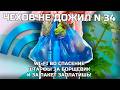 «Чехов не дожил» | №34 | Спасительный wi-fi, штрафы за борщевик, пакет нужен?