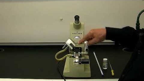 Refractometry Demonstrated by Mark Niemczyk, PhD