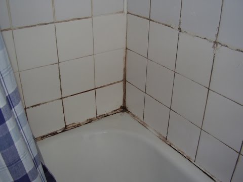 How To Cure Damp And Mould In The Bathroom You - Bathroom Stays Damp How To Cure Damp And Mould In The Bathroom You - Bathroom Stays Damp