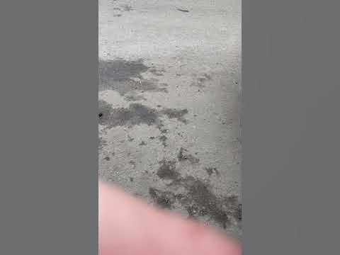 Глушитель Ниссан для аутлендер 3 - YouTube