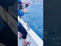 マジで根掛かりかと思った。足元の超巨大ハタとのガチンコファイトがヤバすぎる！