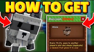 HOW to get RACCOON in GROW A GARDEN *NEW METHOD ✅* Racoon Pet for FREE