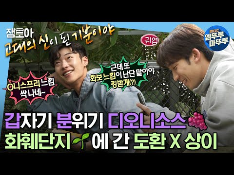 나혼자산다 우도환씨의 정체를 밝혀냈습니다 그건 바로 오타쿠 식집사 우도환 이상이 식집사 MBC230428방송 