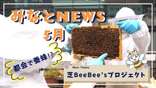 『みなとNEWS(2024年5月)』芝BeeBee’sプロジェクトなど
