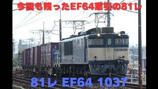 今回も残ったのEF64牽引の81レ! 81レ EF64 1037 庄内川