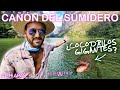 🧜‍♂️🌎 CAÑÓN DEL SUMIDERO | CHIAPAS | PASEO EN LANCHA DESDE MUELLE SECRETO @sebitastrip