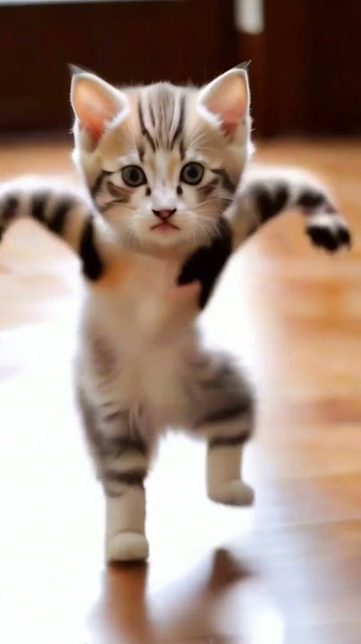#ganga #funny #travel #youtube #youtubeshorts #cat #catvideos #catfunnyvideo #cartoon #cartoonvideo