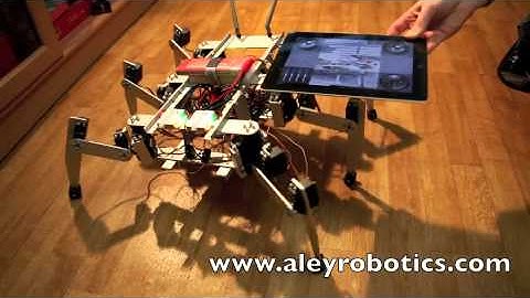 Hexapod robot first steps