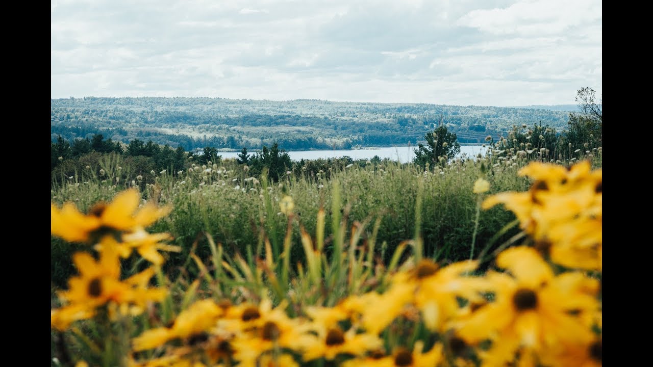 Tower Hill Botanic Garden in Action
