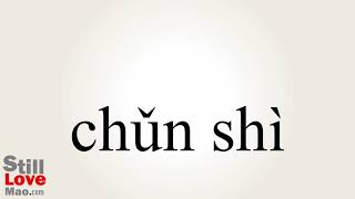 How to Say Folly in Chinese