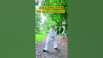 85 Yang Style Tai Chi - Xie Fei Shi #kungfu #taichi #meditation