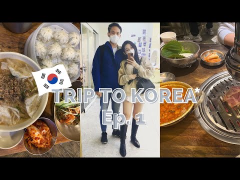   Seoul Vlog Michelin Stars Restaurants North Face Cafe Strolling Hongdae Myeondong Street Food