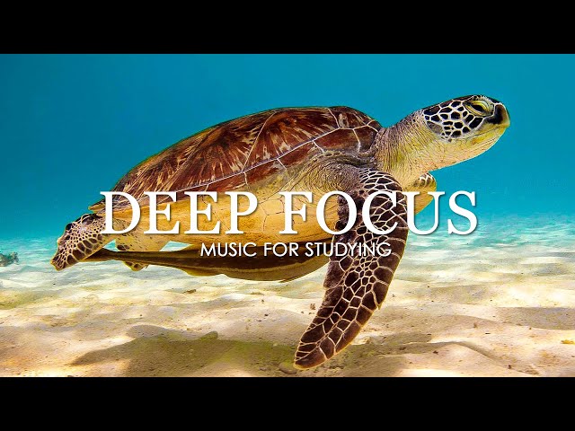 Deep Focus Music To Improve Concentration  - 11 Hours of Ambient Study Music to Concentrate #5 class=