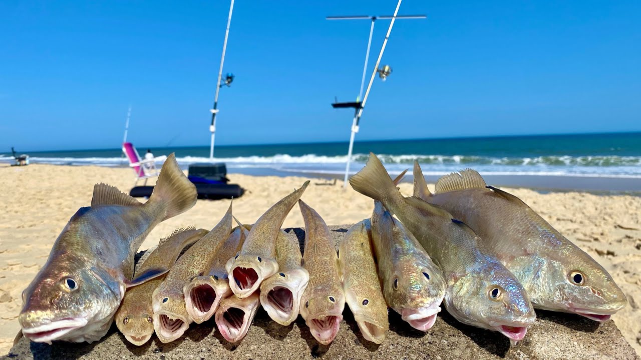 COMO pegar MUITOS PEIXES na PESCA de PRAIA, dicas INFALÍVEIS.