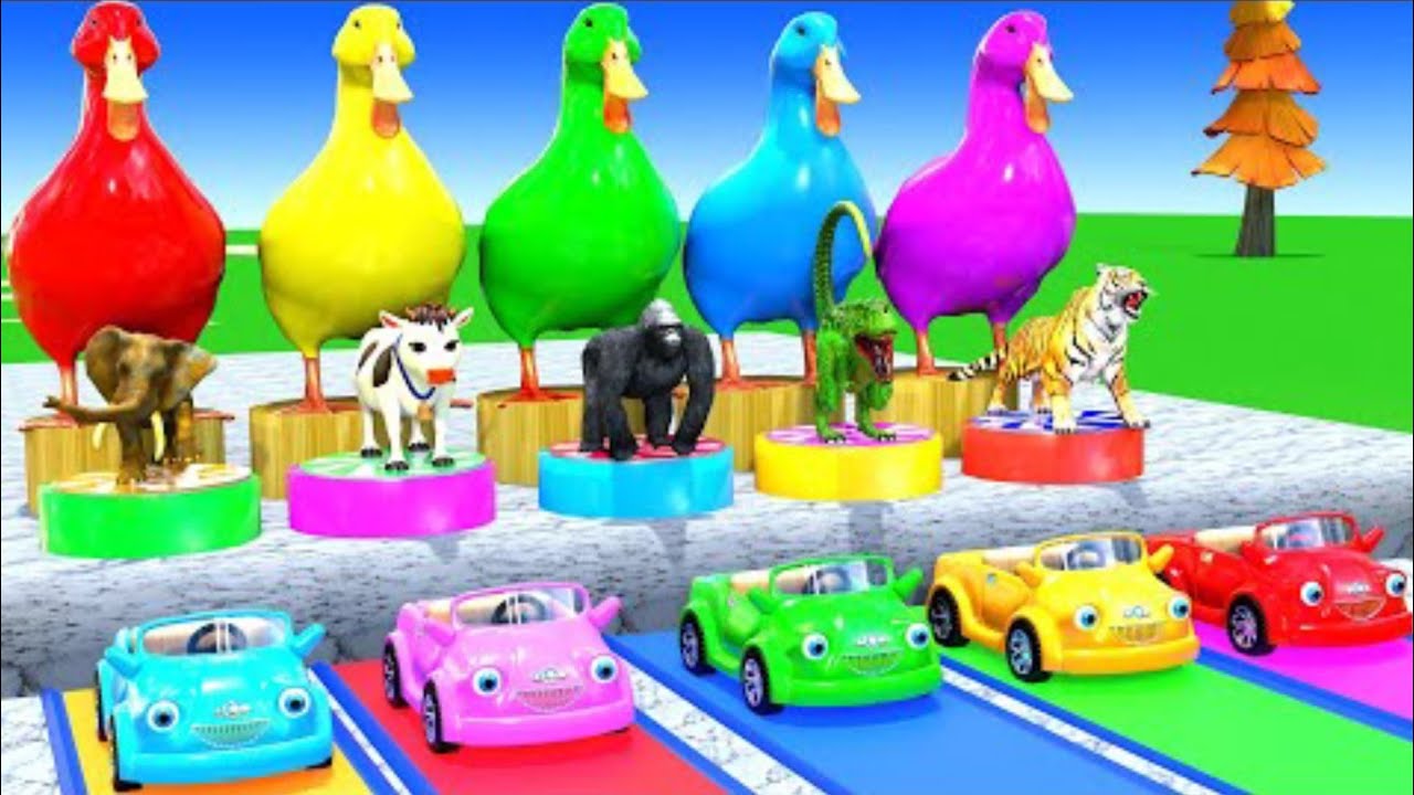 Funny Animals Racing! Learn Colors with Elephant, Cow, Tiger & Gorilla 3D Animation for Kids