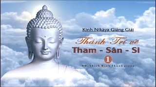 Kinh NIKAYA Giảng Giải - Thánh Trí Về Tham Sân Si 1 - Thích Minh Thành