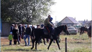 14 октября 2016 года Бутурлиновка. 14 октября 2016 года Бутурлиновка.