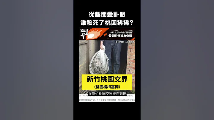 从趣闻变讣闻，谁杀死了桃园狒狒？｜志祺七七 #shorts - 天天要闻
