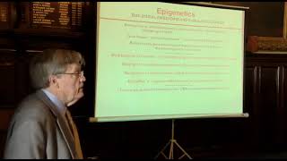 Seminar Series 11: Lecture 6 - Bruce McEwen - 'Experience shapes the brain across the life course'