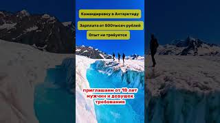 Набор в команду на Антарктиду #вакансиямосква #вакансия #вахтасевер #вакансии #рабочаяпоездка
