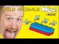 Wild Animals for Kids   MORE English Stories for Children with Steve and Maggie | Wow English TV