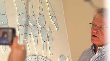 MASTER #ORTHODONTICS from Home with @csorthoschool  by Dr. Robert Scherngell, MSc